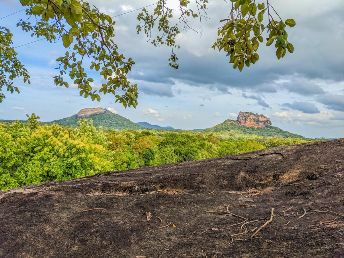 Sigiri Choona Lodge 'Unique Sunrise Viewpoint' Σιγκιρίγια Εξωτερικό φωτογραφία